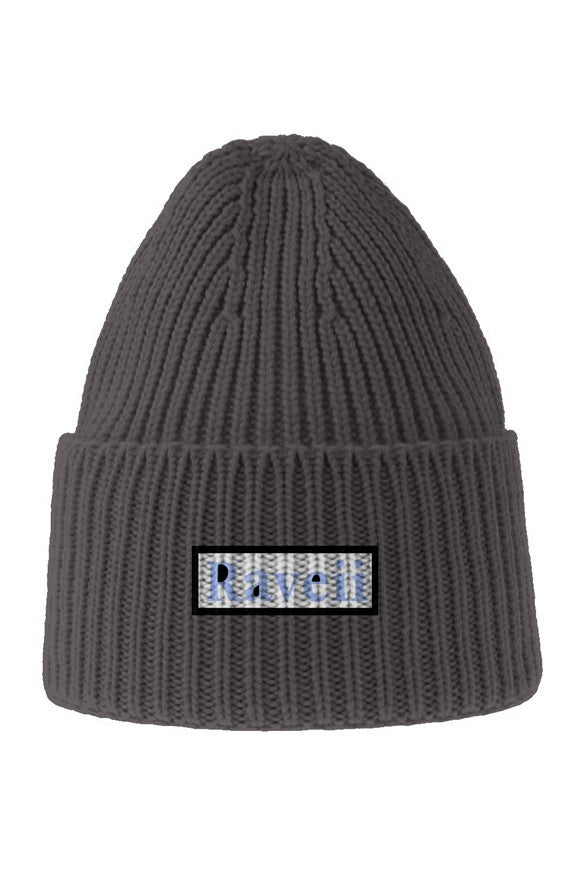 divine beanie - Gray